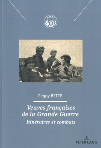 Veuves françaises de la Grande Guerre. Itinéraires et combats