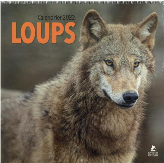 Calendrier Loups. Edition 2022