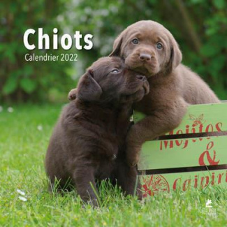 Chiots. Edition 2022