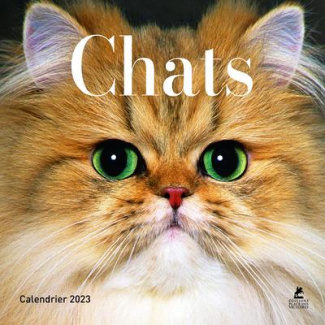 Calendrier Chats. Edition 2023