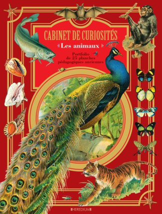 Cabinet de curiosités Animaux. Livre portfolio. 25 planches originales
