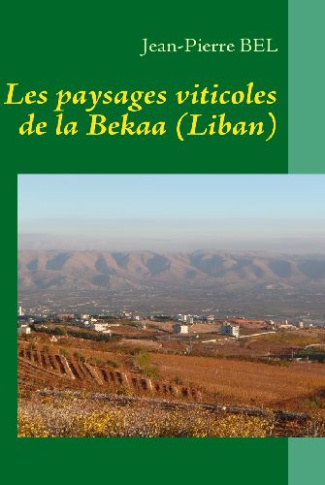 Les paysages viticoles de la Bekaa (Liban)