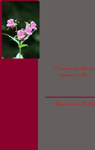 L'aventure des mots qui soignent les maux