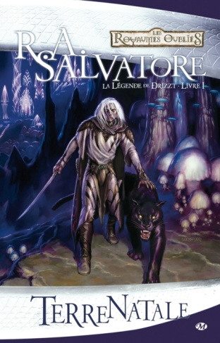 La Légende de Drizzt Tome 1 : Terre Natale