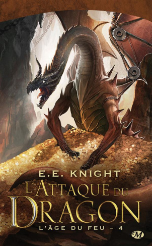 L'Age du feu Tome 4 : L'Attaque du dragon