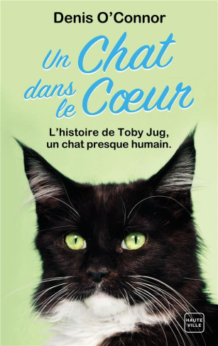 Un chat dans le coeur. Une année dans la vie d'un chat rescapé