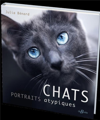 Chats. Portraits atypiques
