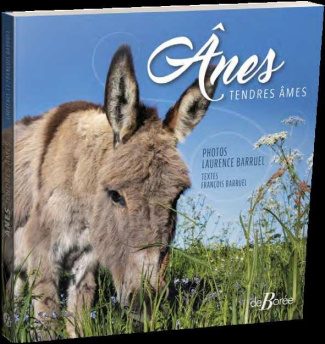 Anes. Tendres âmes