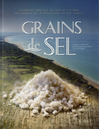 GRAINS DE SEL. ITINERAIRE DANS LES SALINES DU LITTORAL BAS-NORMAND DE LA PREHISTOIRE AU XIXE SIECLE