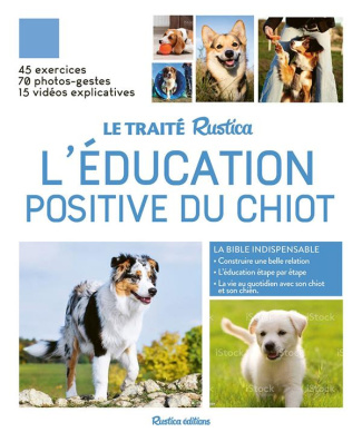L'éducation positive du chiot