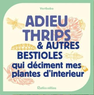 Adieu cochenilles & autres bestioles qui déciment mes plantes d'intérieur