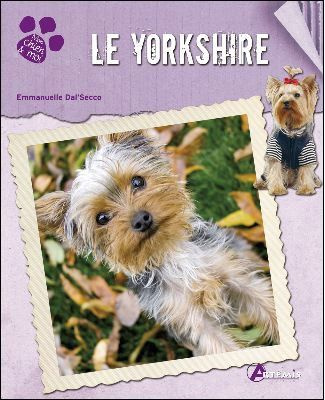 Le Yorkshire