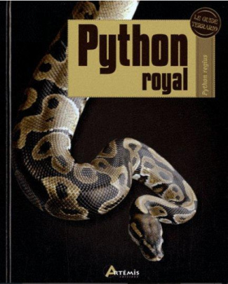 Python royal. Python regius