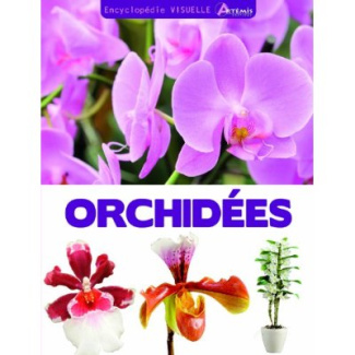 Orchidées