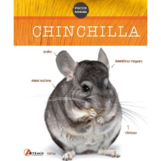 Chinchilla