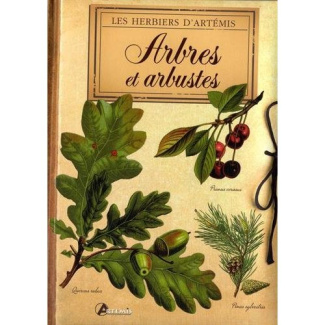 Arbres et arbustes