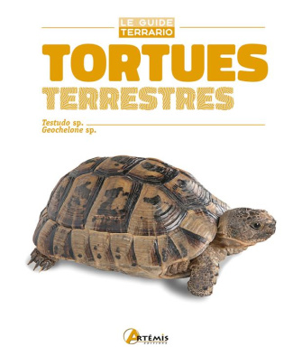TORTUES TERRESTRES