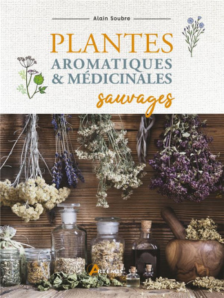 Plantes aromatiques et médicinales sauvages