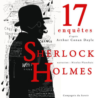 17 enquêtes de Sherlock Holmes. 1 CD audio MP3