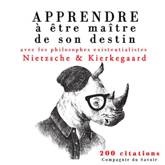 Apprendre à être maître de son destin avec les philosophes existentialistes Nietzsche & Kierkegaard.