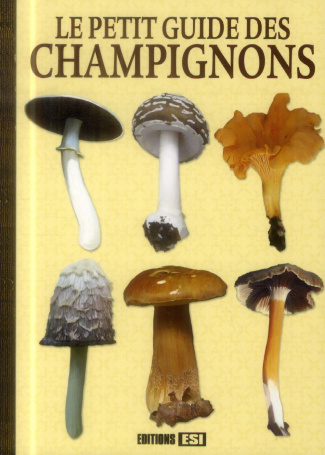 Le petit guide des champignons