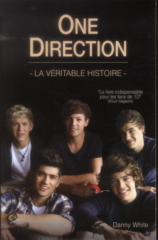 One Direction / La véritable histoire