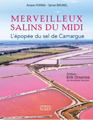 Merveilleux salins du midi. L'épopée du sel de Camargue