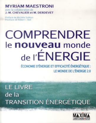 Comprendre le nouveau monde de l'énergie. Economie d'énergie et efficacité énergétique : le monde de