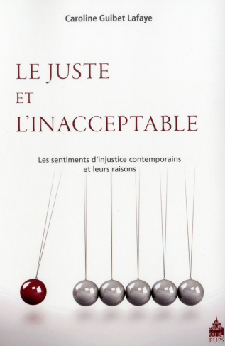 Le juste et l'inacceptable. Les sentiments d?injustice contemporains et leurs raisons
