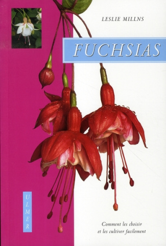 Les fuchsias. Comment les choisir et les cultiver facilement