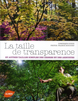 La taille de transparence. Et autres tailles simples des arbres et des arbustes