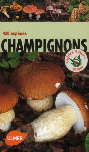 Champignons. 420 espèces