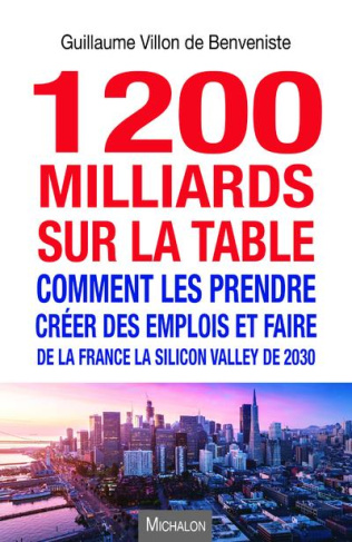 1200 milliards sur la table. Comment les prendre ? Créer des emplois et faire de la France la Silico