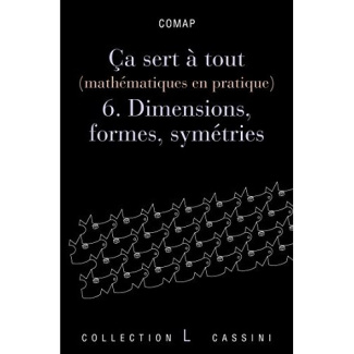 Ca sert à tout (mathématiques en pratique). Volume 6, Dimensions, formes et symétries