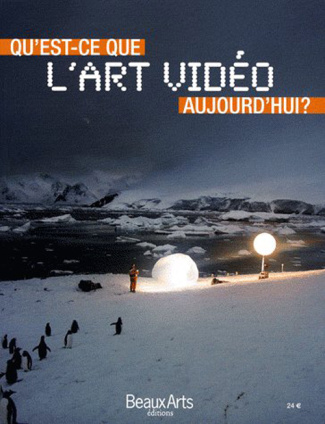 Qu'est-ce-que l'art vidéo aujourd'hui ?