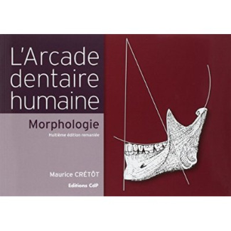 Pack arcade dentaire humaine   variations morphologiques des dents humaines