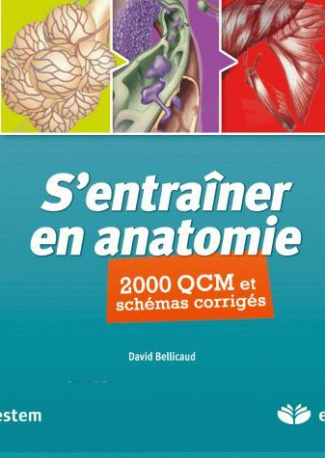 S'entraîner en anatomie