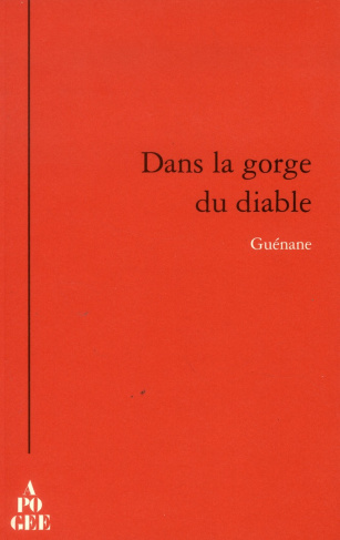 Dans la gorge du diable