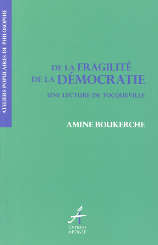 De la fragilité de la démocratie. Une lecture de Tocqueville