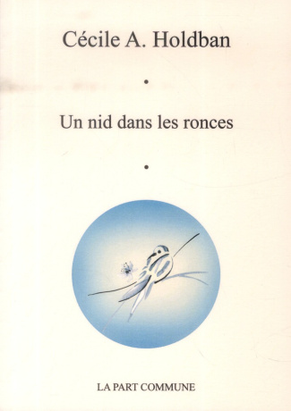 Un nid dans les ronces