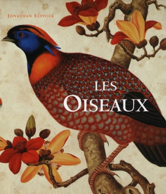 Les Oiseaux