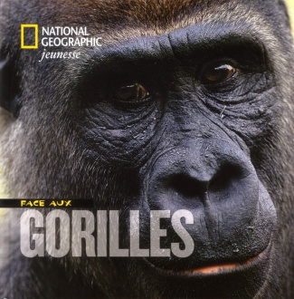 Face aux gorilles