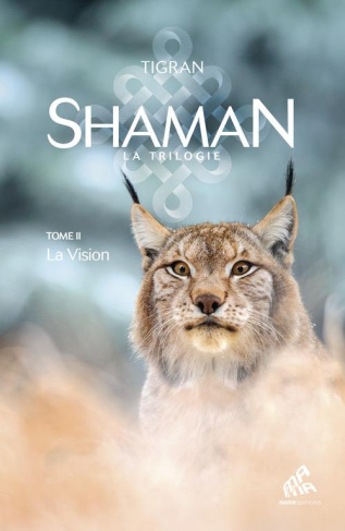 Shaman Tome 2 : La Vision