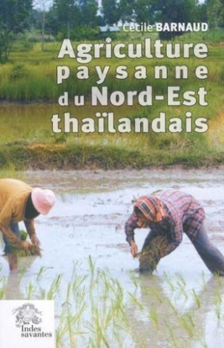 L'agriculture dans le nord-est de la Thaïlande. Le village de Ban Hin Lad