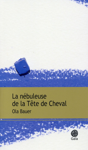 La nébuleuse de la Tête de Cheval