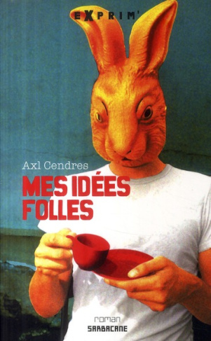 Mes idées folles