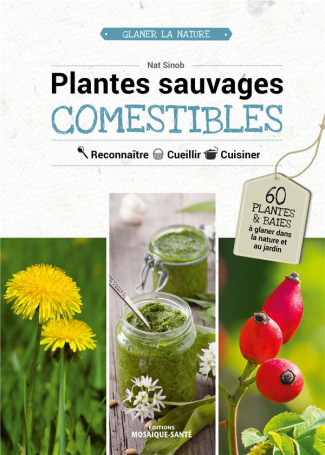 Plantes sauvages comestibles