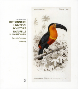 DICTIONNAIRE UNIVERSEL D'HISTOIRE NATURELLE DE CHARLES D'ORB