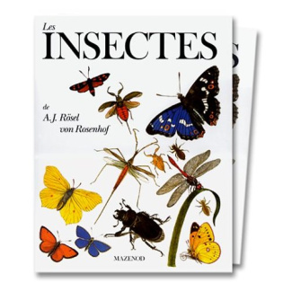 Les insectes