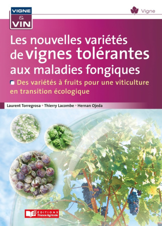 Vignes tolérantes aux maladies fongiques. Des variétés à fruits pour une viticulture en transition é